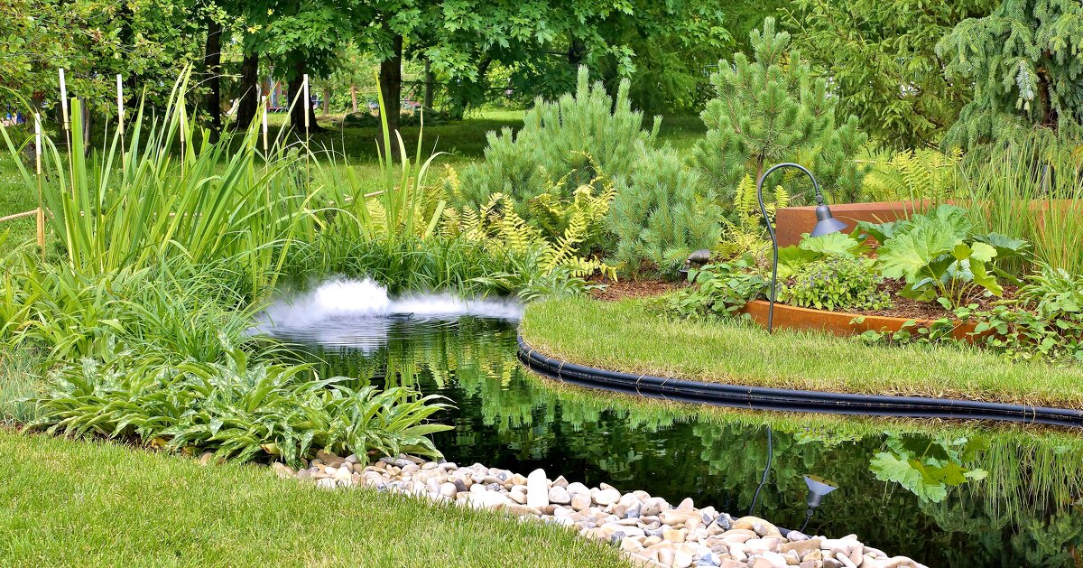 ЦАРИЦЫНО - АЛЕКСАНДР 