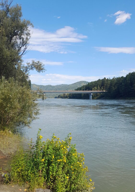 На Катуни . - Мила Бовкун