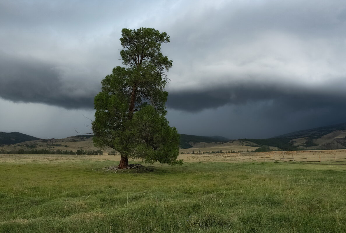 Перед грозой - Марина Фомина. Перед грозой - Марина Фомина.