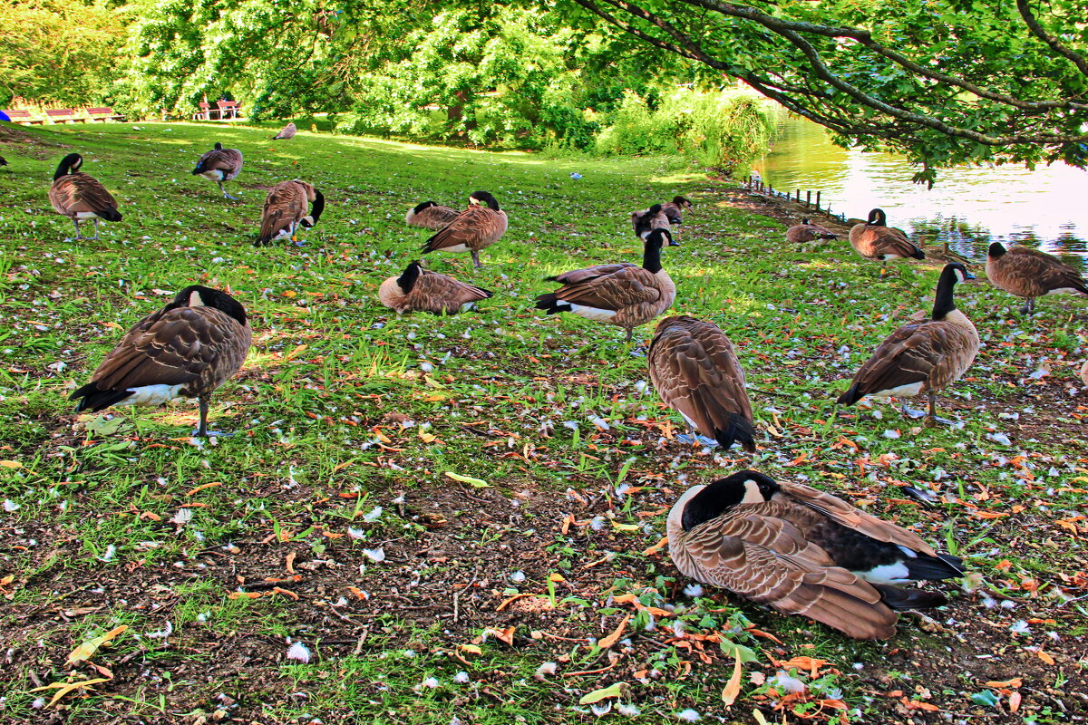 Тихий час - Андрей K.