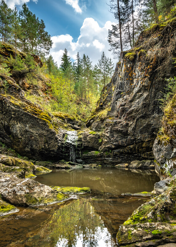 ... - Владимир 