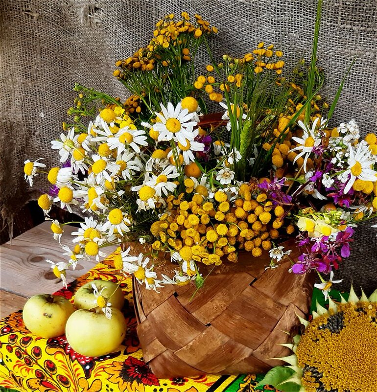 В августе! - Нина Андронова