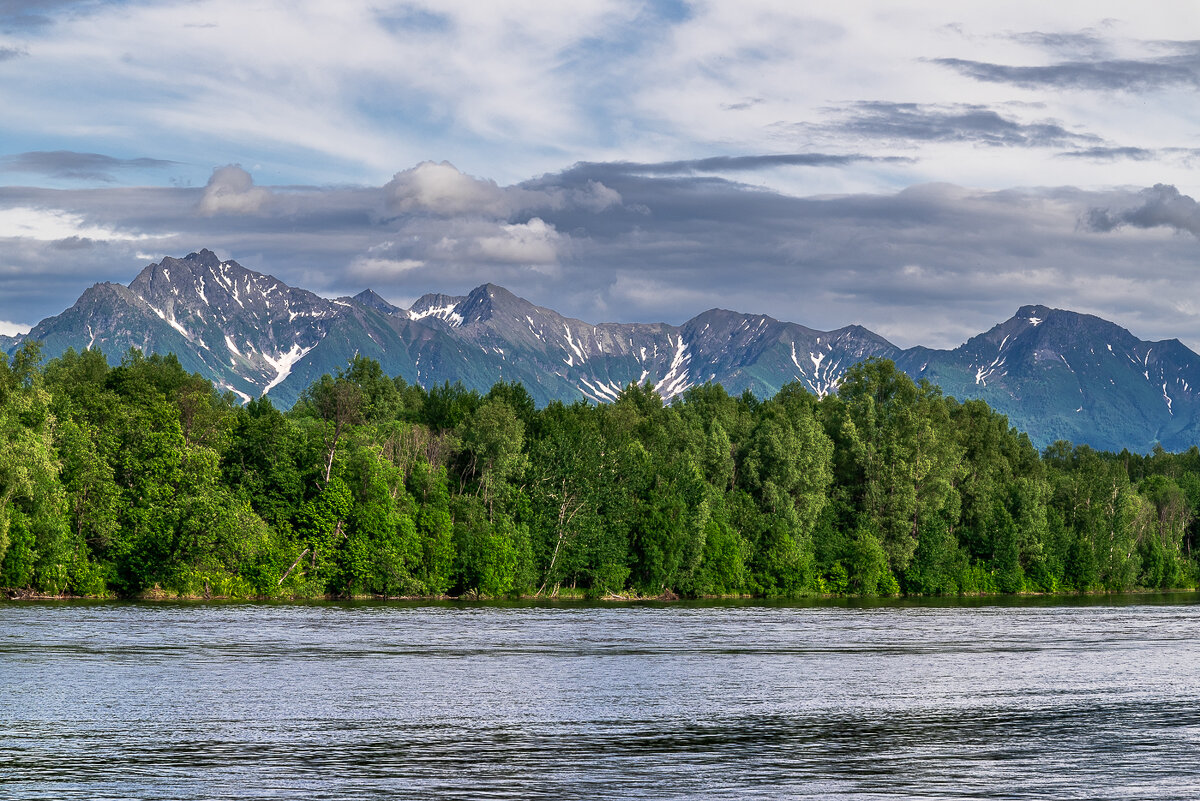 ... - Жора Житников