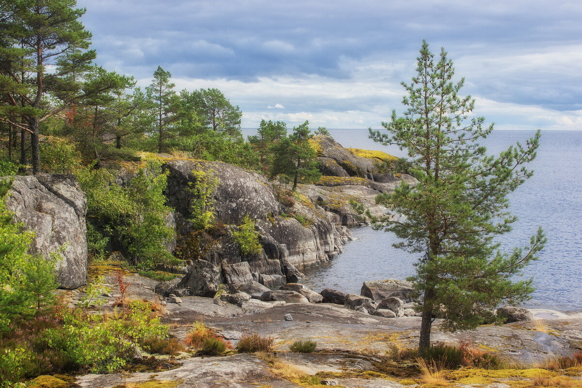 *** - Сергей Могутов *** - Сергей Могутов