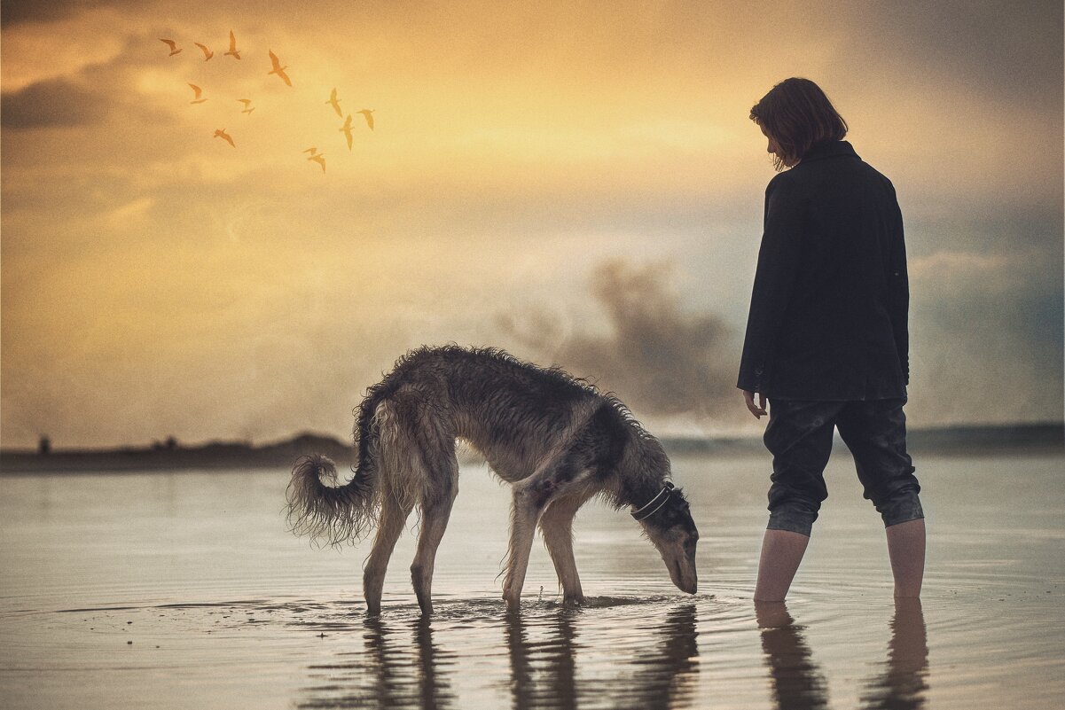 Девушка с собачкой - Александр Морозов