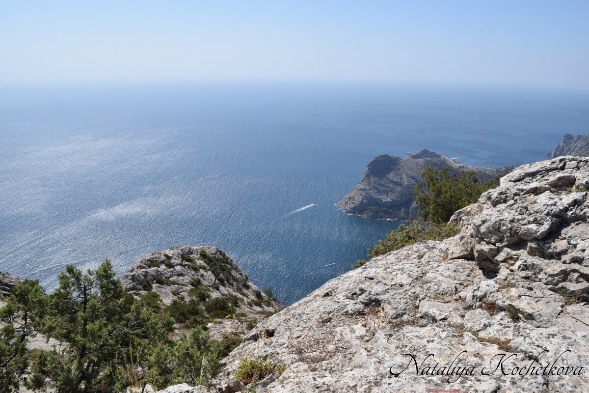 Природа Крыма - Amazing Cosmea Природа Крыма - Amazing Cosmea