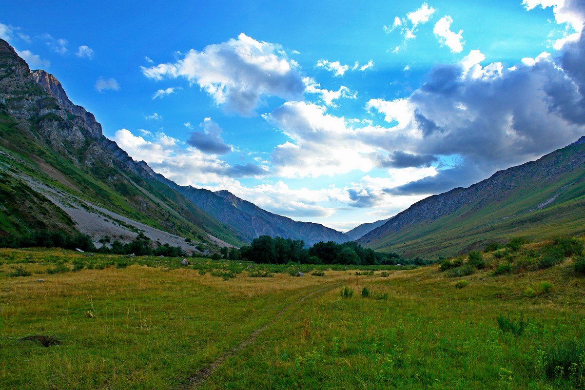 ДОЛИНА ОЙГАИНГА. - Виктор Осипчук