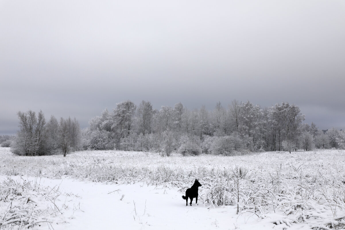 После снегопада - Oleg S