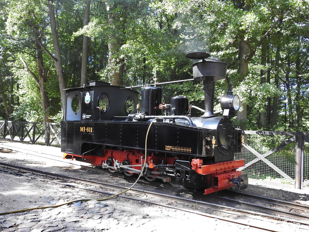 ****** - ИННА ПОРОХОВА