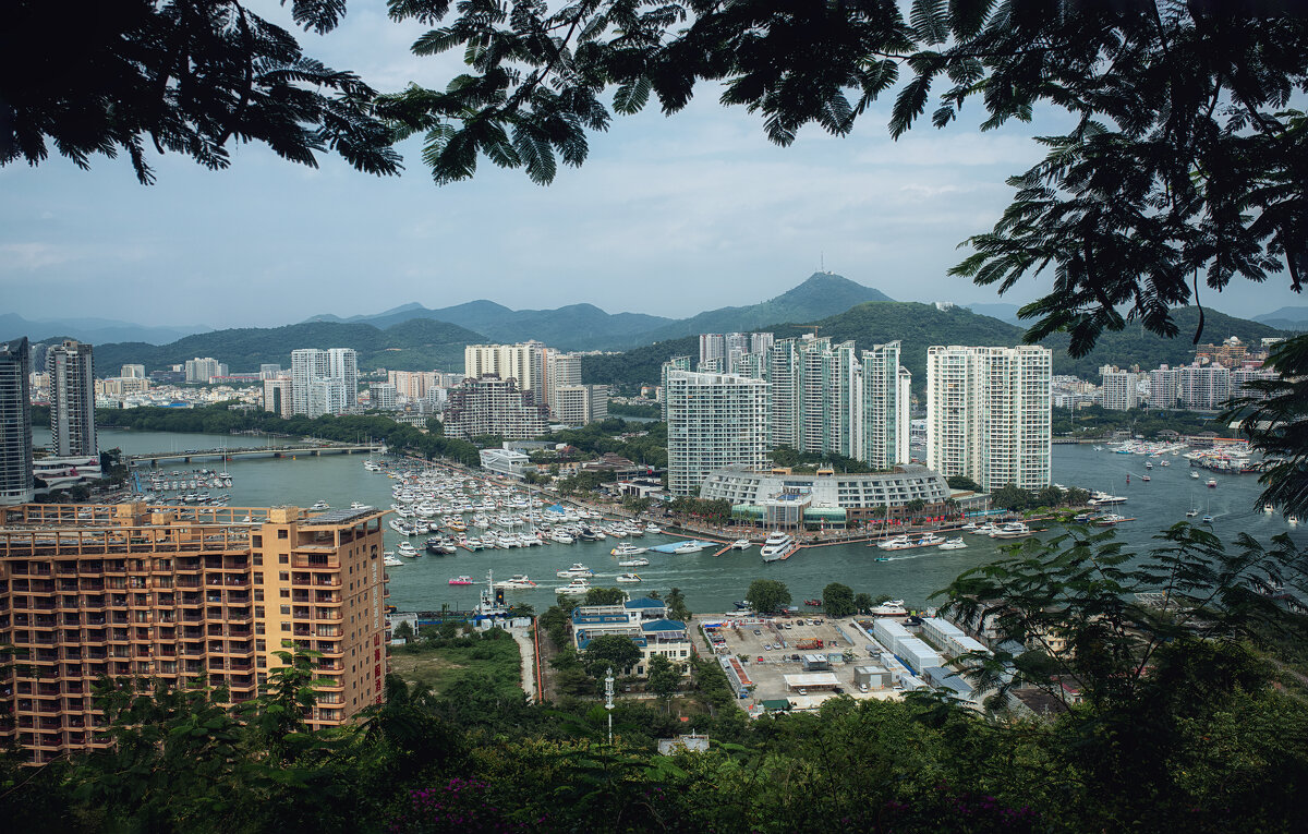 Уютный уголок) - Лилия . Уютный уголок) - Лилия .