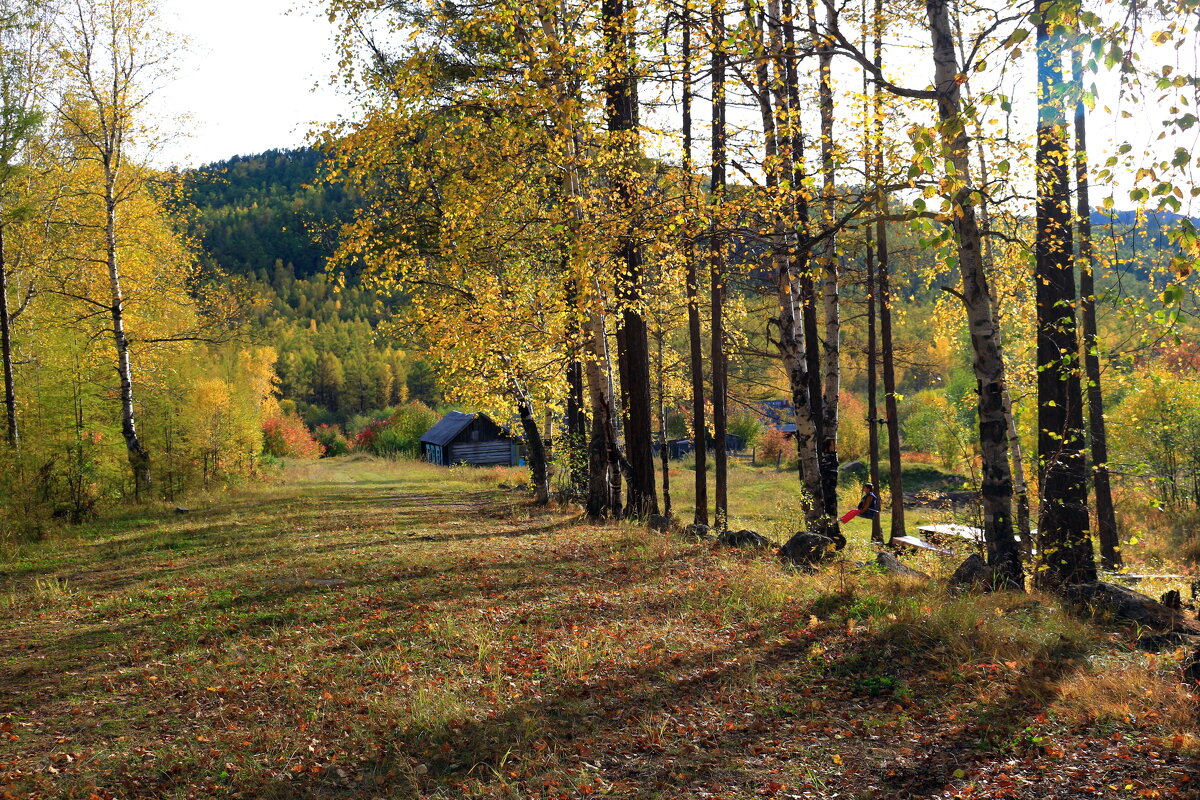 На околице - Мишель71 