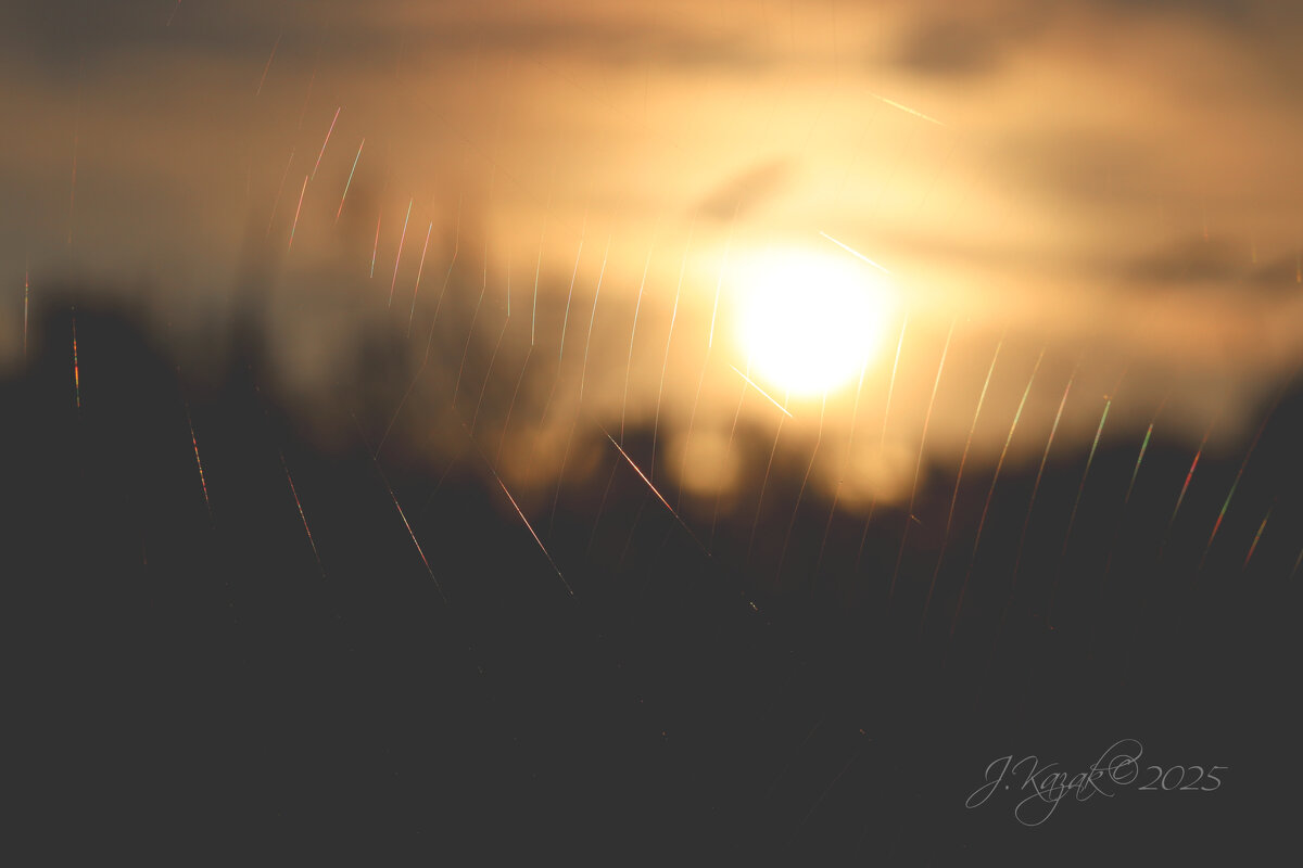 *** - Елена Kазак (selena1965) *** - Елена Kазак (selena1965)