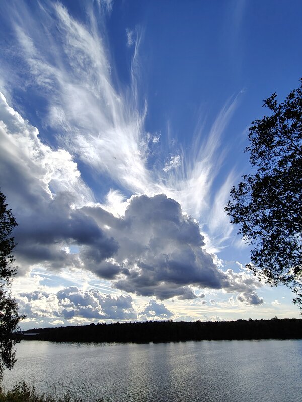 Классный день - Андрей 