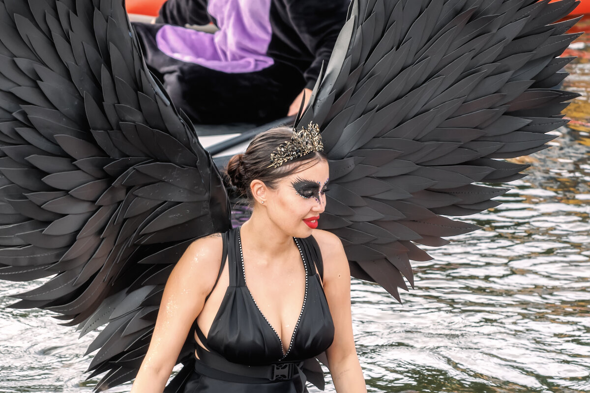 Подсмотрено в Питере - Владимир Колесников