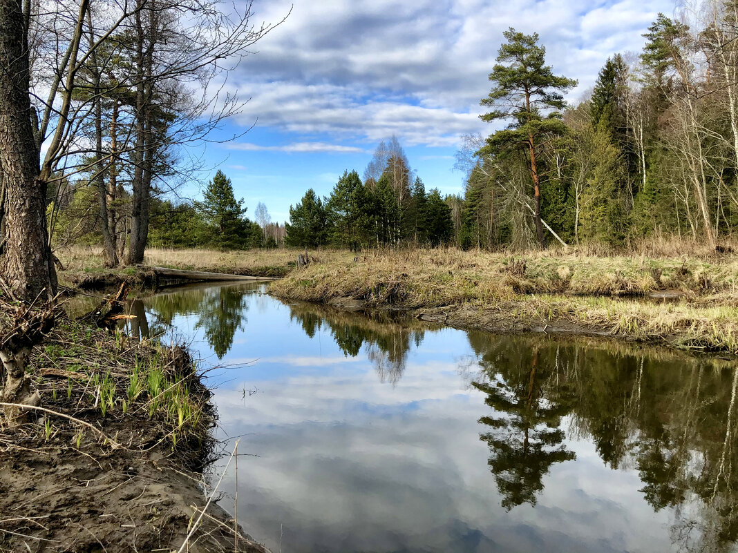 Наше ;-) - Алексей Пышненко