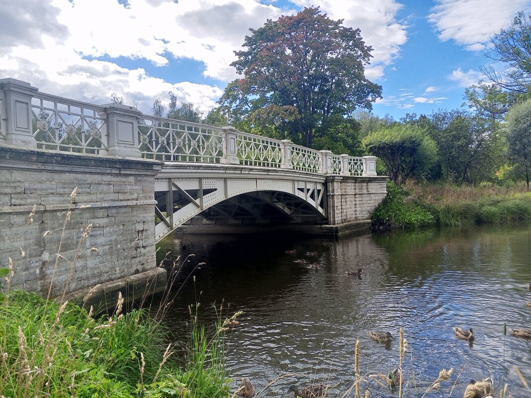 Мостик - Сапсан 