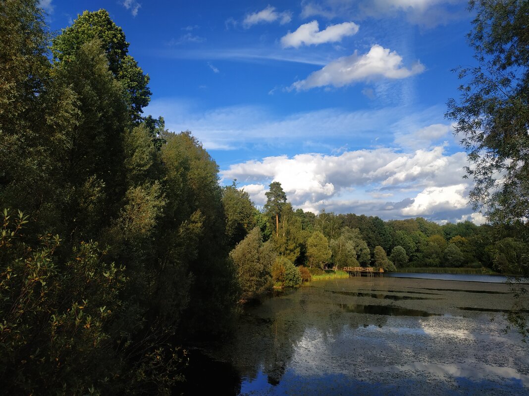 Лета - на донышке :-( - Андрей Лукьянов