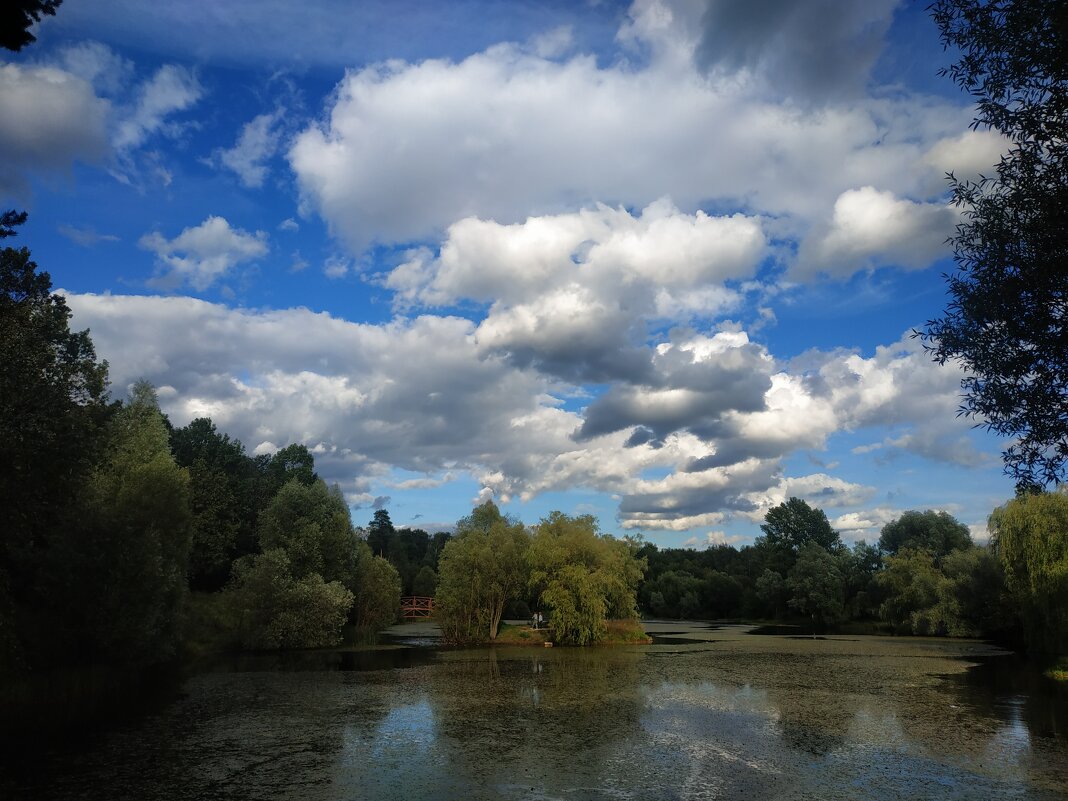 Лета - на донышке :-( - Андрей Лукьянов