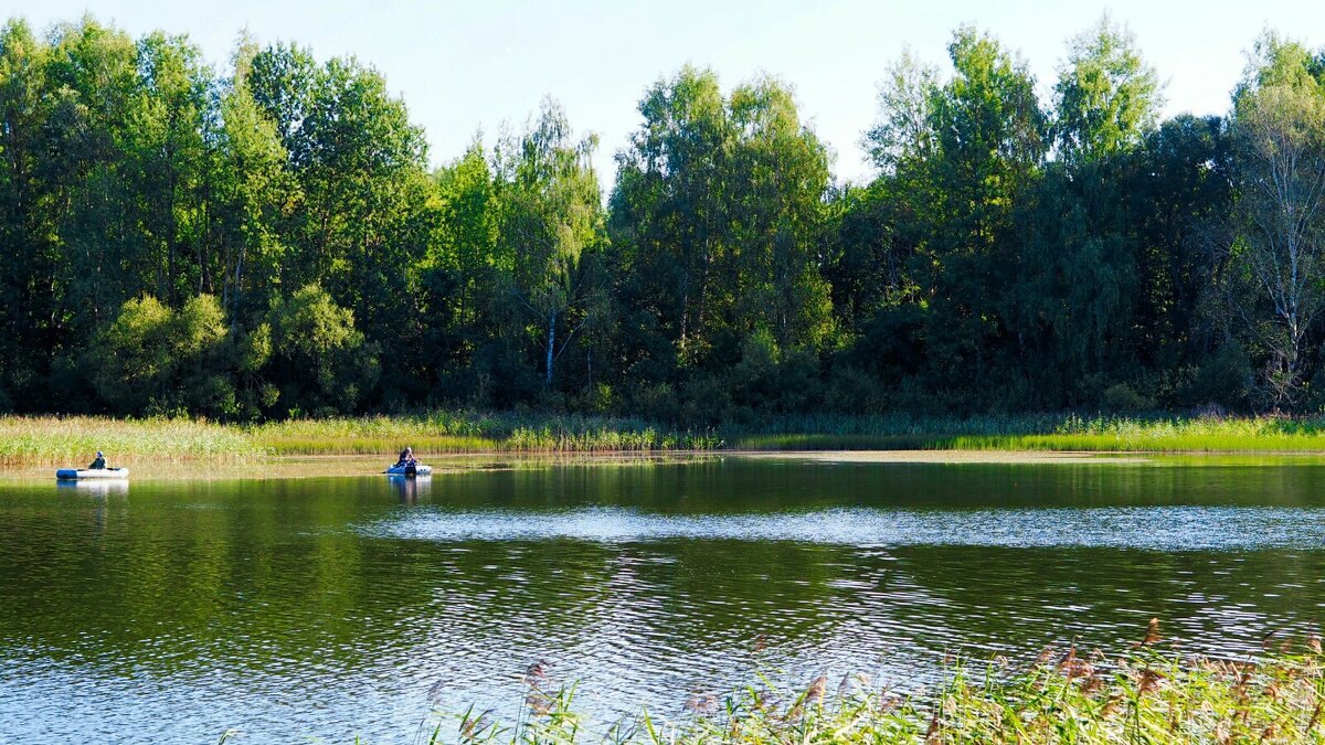 О любителях рыбной ловли. - Милешкин Владимир Алексеевич 