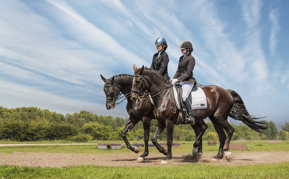 Выездка - SanSan 