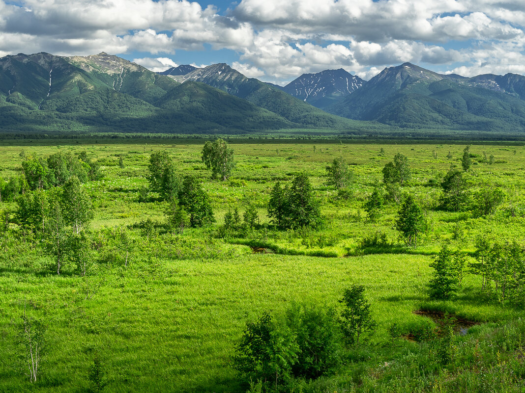 ... - Жора Житников