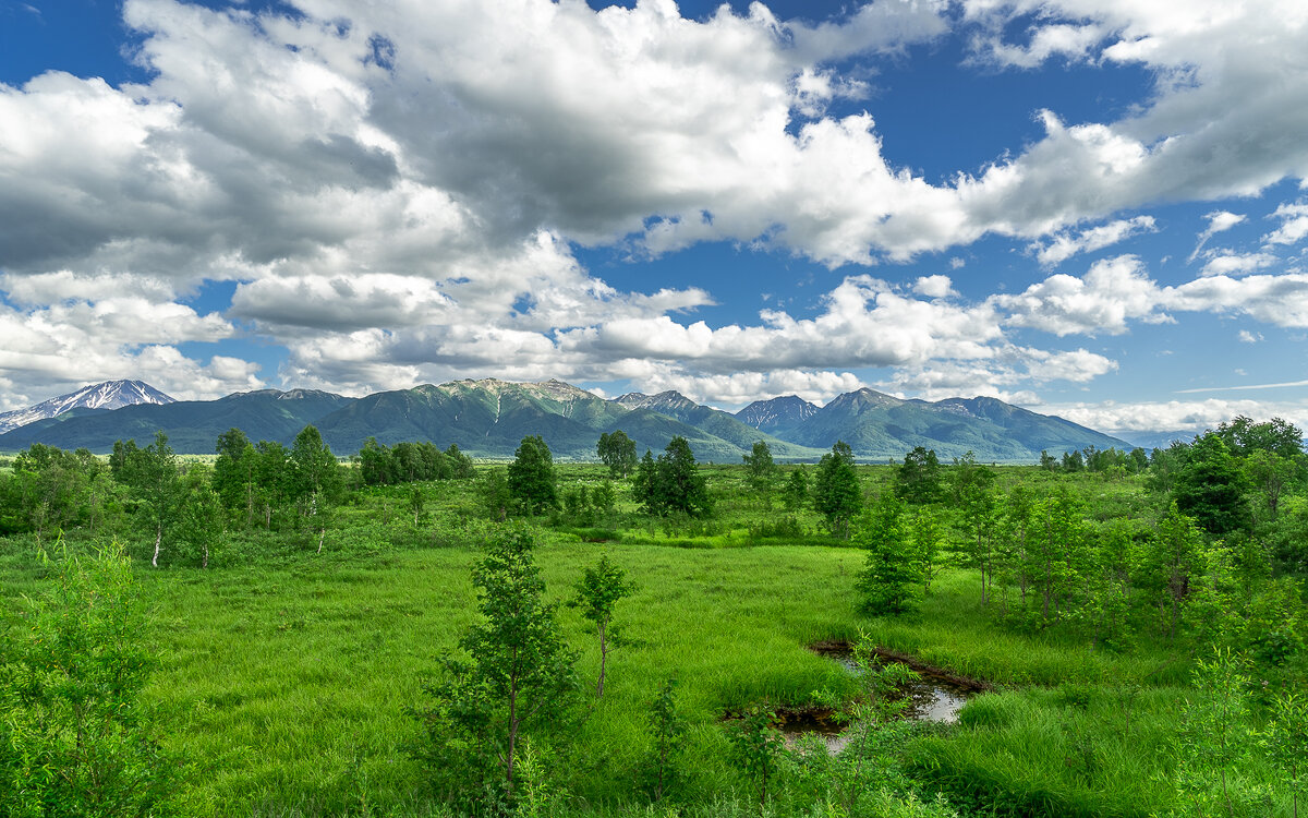 ... - Жора Житников