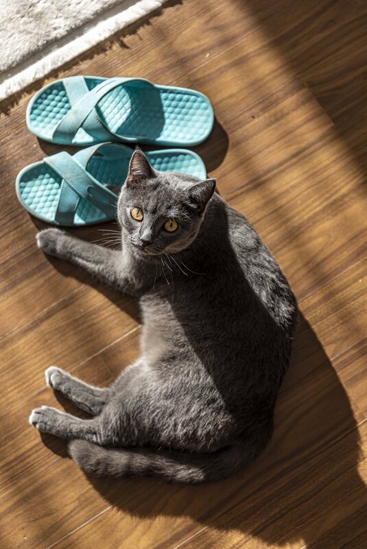 Хранитель тапков - Солтан Жексенбеков Хранитель тапков - Солтан Жексенбеков