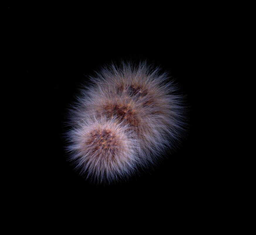 Многослойная экспозиция - Любимова Ольга 