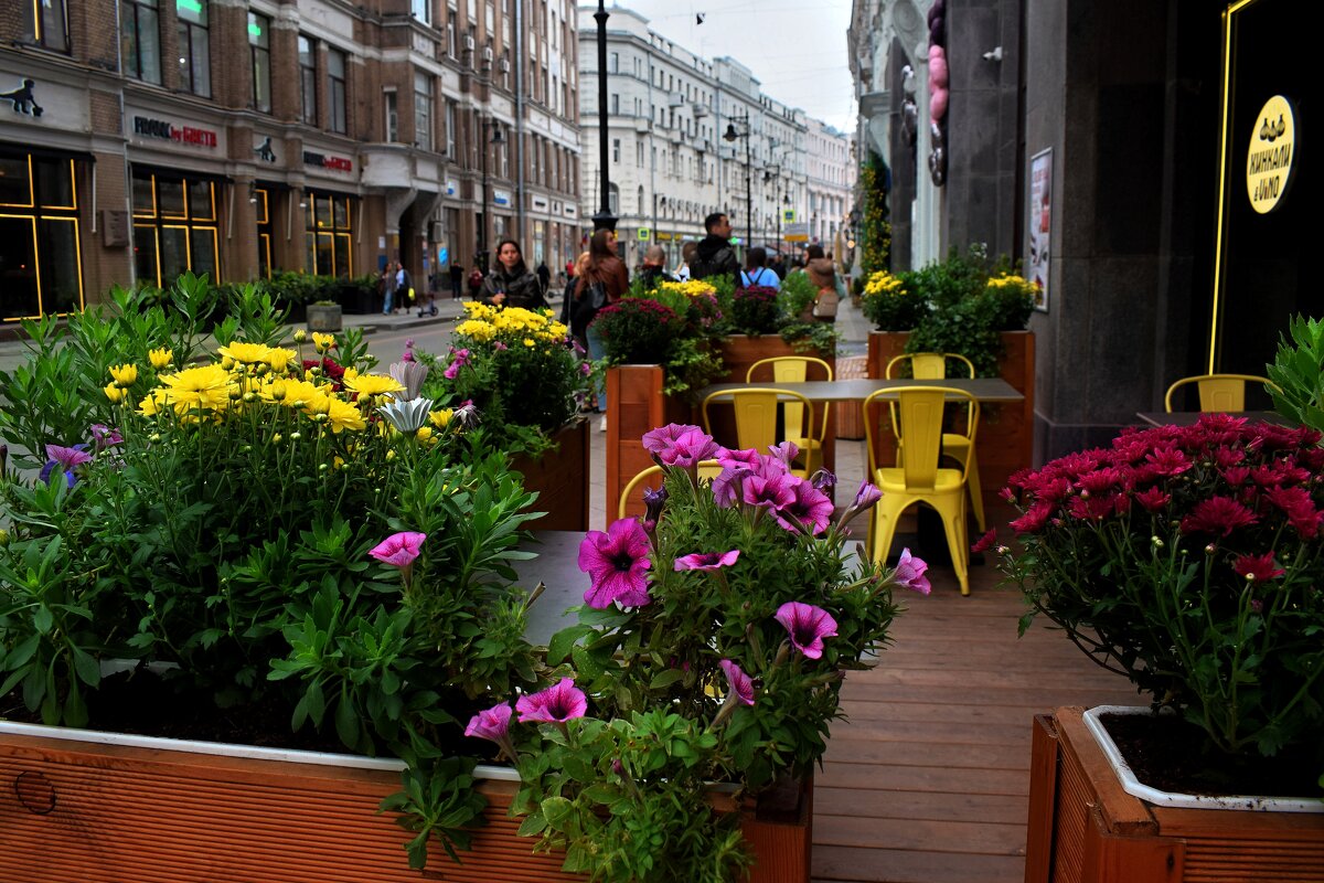 Опустели летние кафе. - Татьяна Помогалова