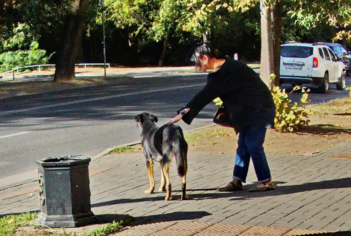 Ничей... - Николай Саржанов