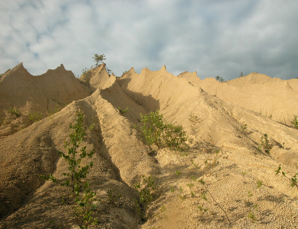 Похоже на бархан - Наталья Лунева Похоже на бархан - Наталья Лунева