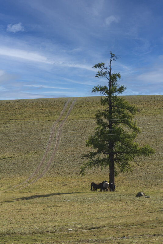 Алтай-дорога в небо - Дмитрий Пудовик