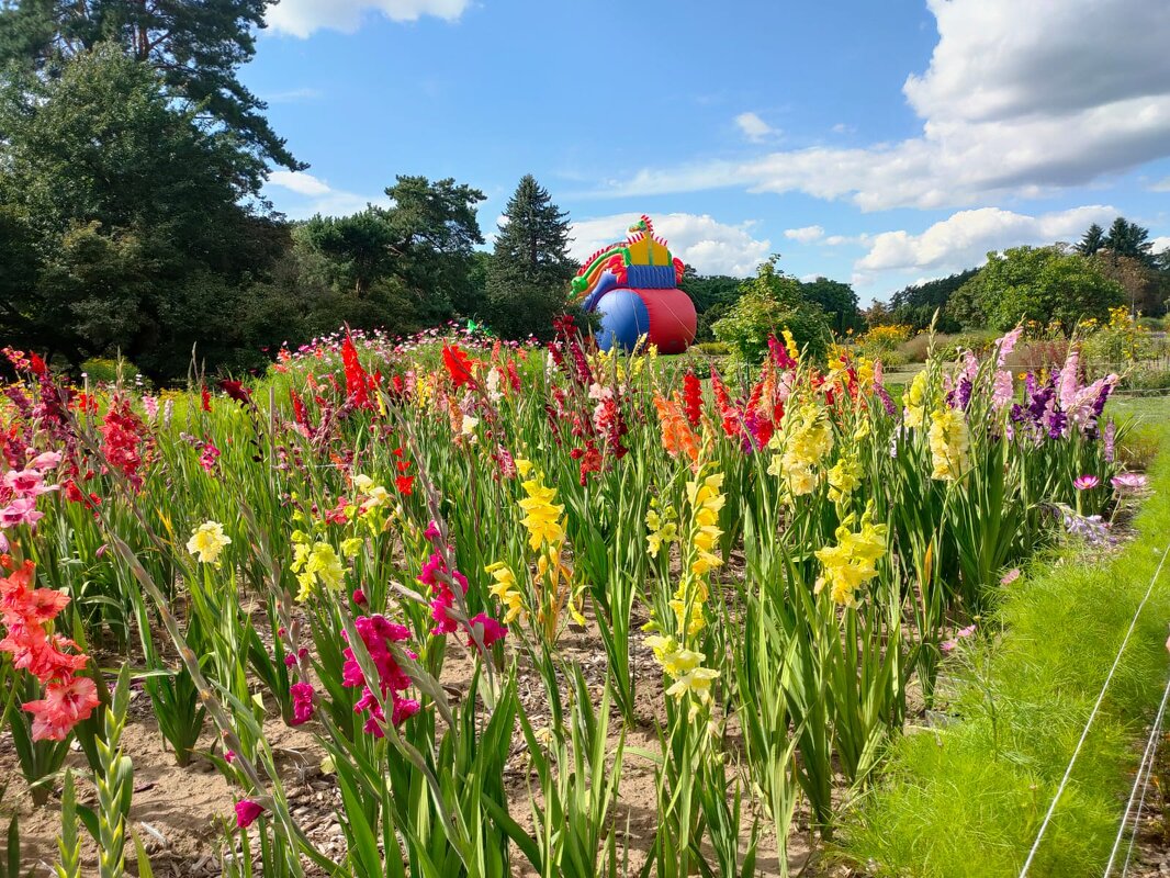 Минск. В Ботаническом саду - Ирэн 
