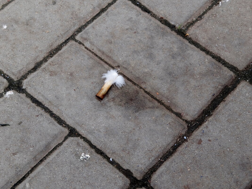 Падший ангел - Maria Rainer