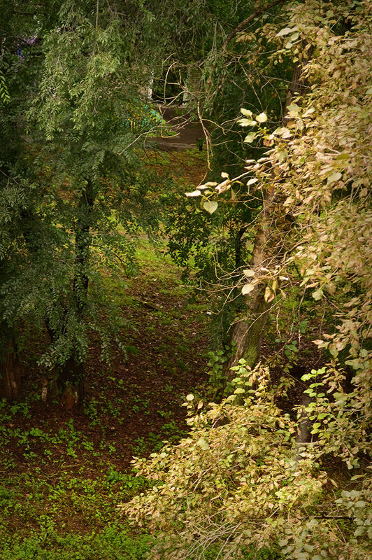 В двух шагах от осени - Людмила Фил