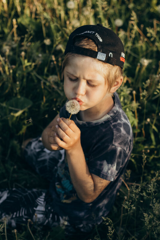 С одуванчиком - Валерия .