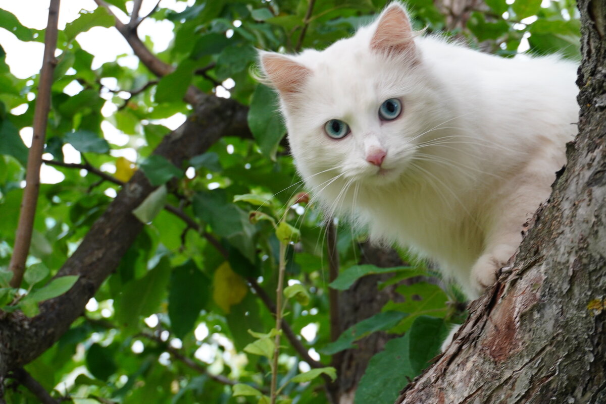 ... - Сергей Ц