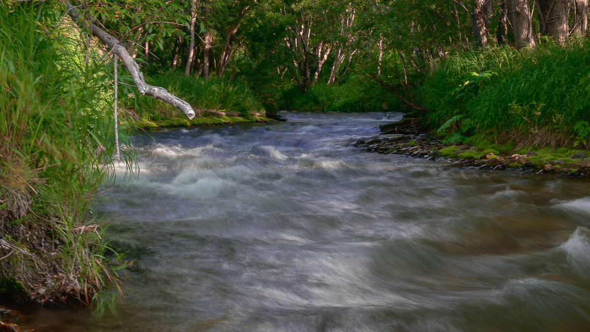 ... - Жора Житников