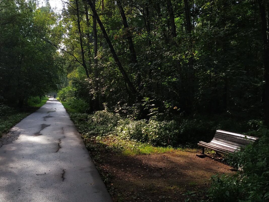 Лета совсем на донышке - Андрей Лукьянов