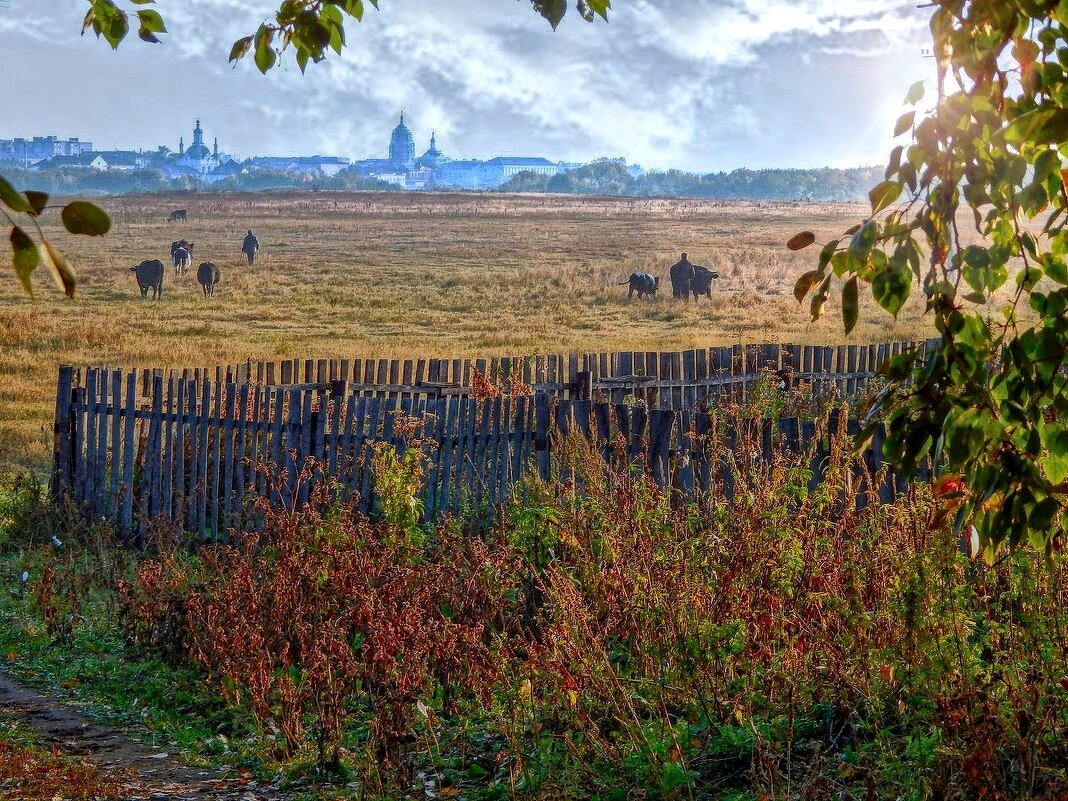 "Сельская жизнь" - Елена Хайдукова  ( Elena Fly )