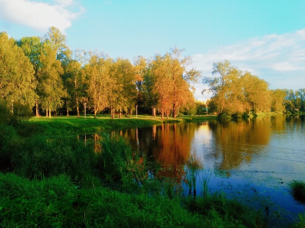Летний вечер - Сергей Кочнев