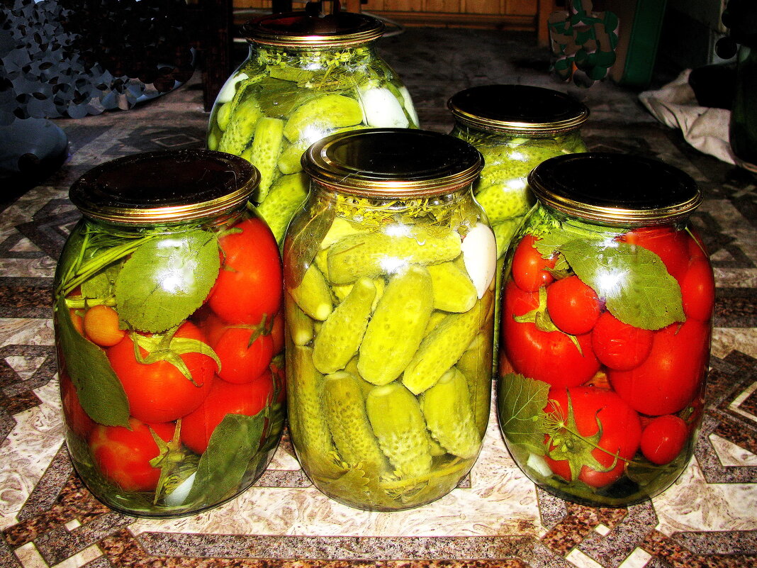 Готовимся к зиме - Людмила Смородинская