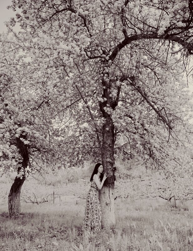 Слушать и обнимать - Алексей Хвастунов