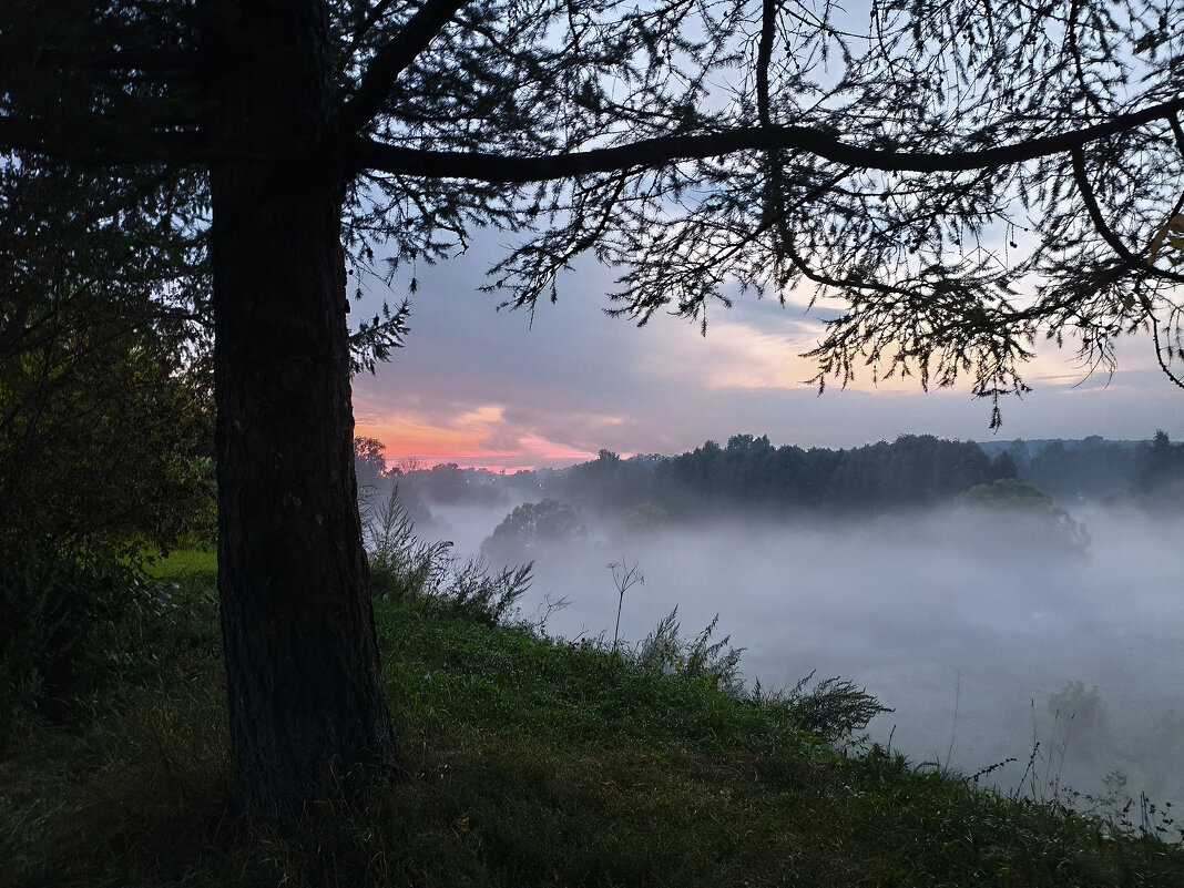 Утопает закат в тумане - Денис Бочкарёв