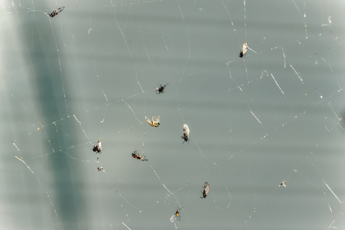 Диалектика - Владимир Колесников Диалектика - Владимир Колесников