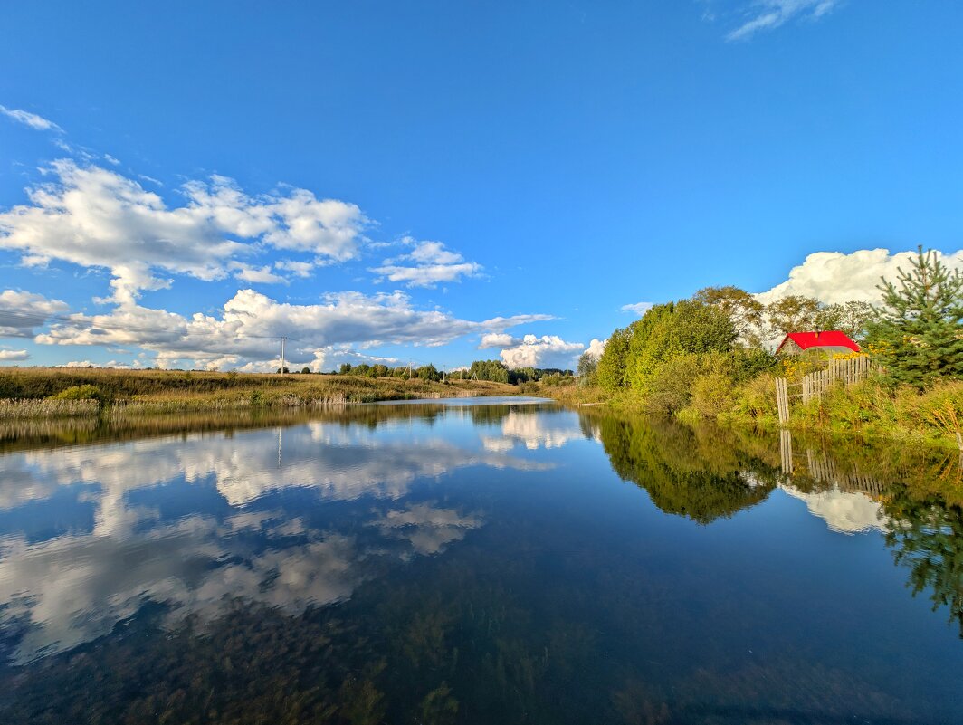 Солнечный денёк августа - Анастасия Логинова