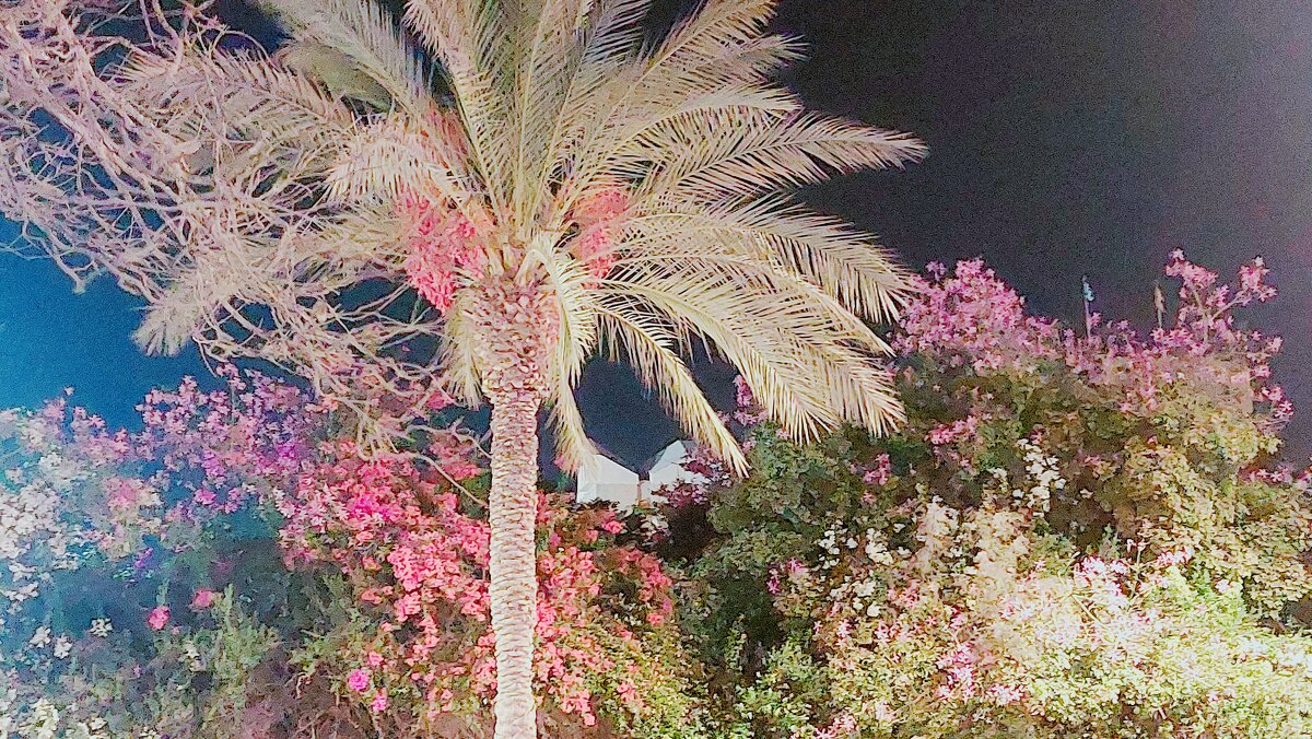 13  ОПЕН (262) - OPEN WAYS ALL