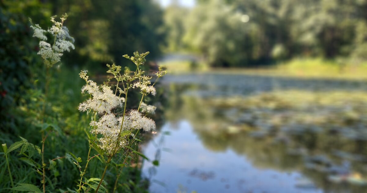 Последние дни лета. - ИРЭН@ .