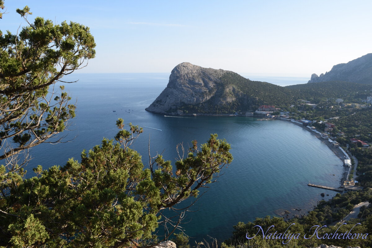 Природа Крыма - Amazing Cosmea