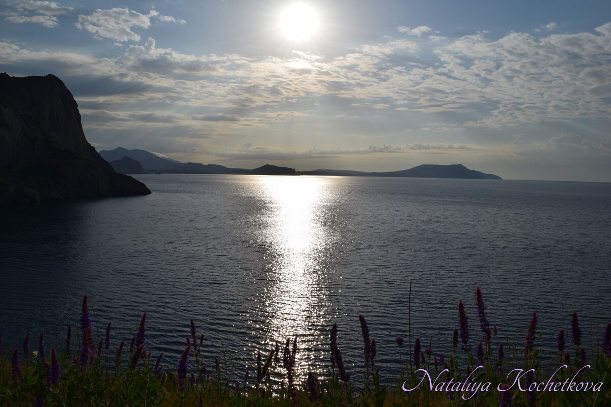 Природа Крыма - Amazing Cosmea Природа Крыма - Amazing Cosmea